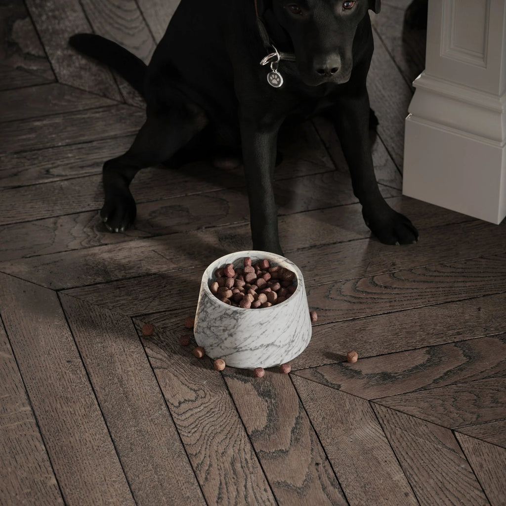 Carrara White Marble Dog Bowls | Italian Stone Pet Accessories