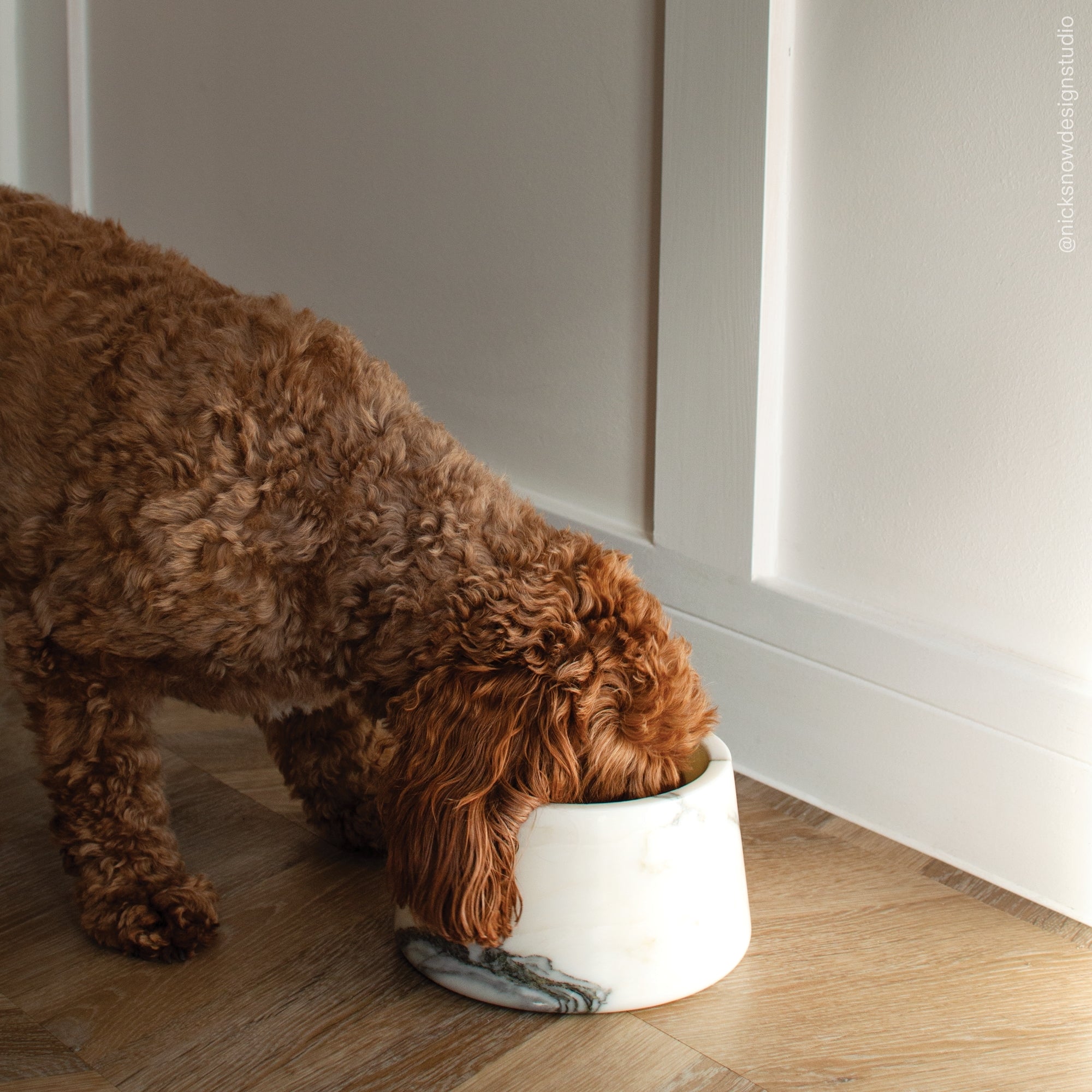 Classic Arabescato White Marble Dog Bowls | Italian Stone Pet Accessories